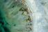 Hello World Featured Image
